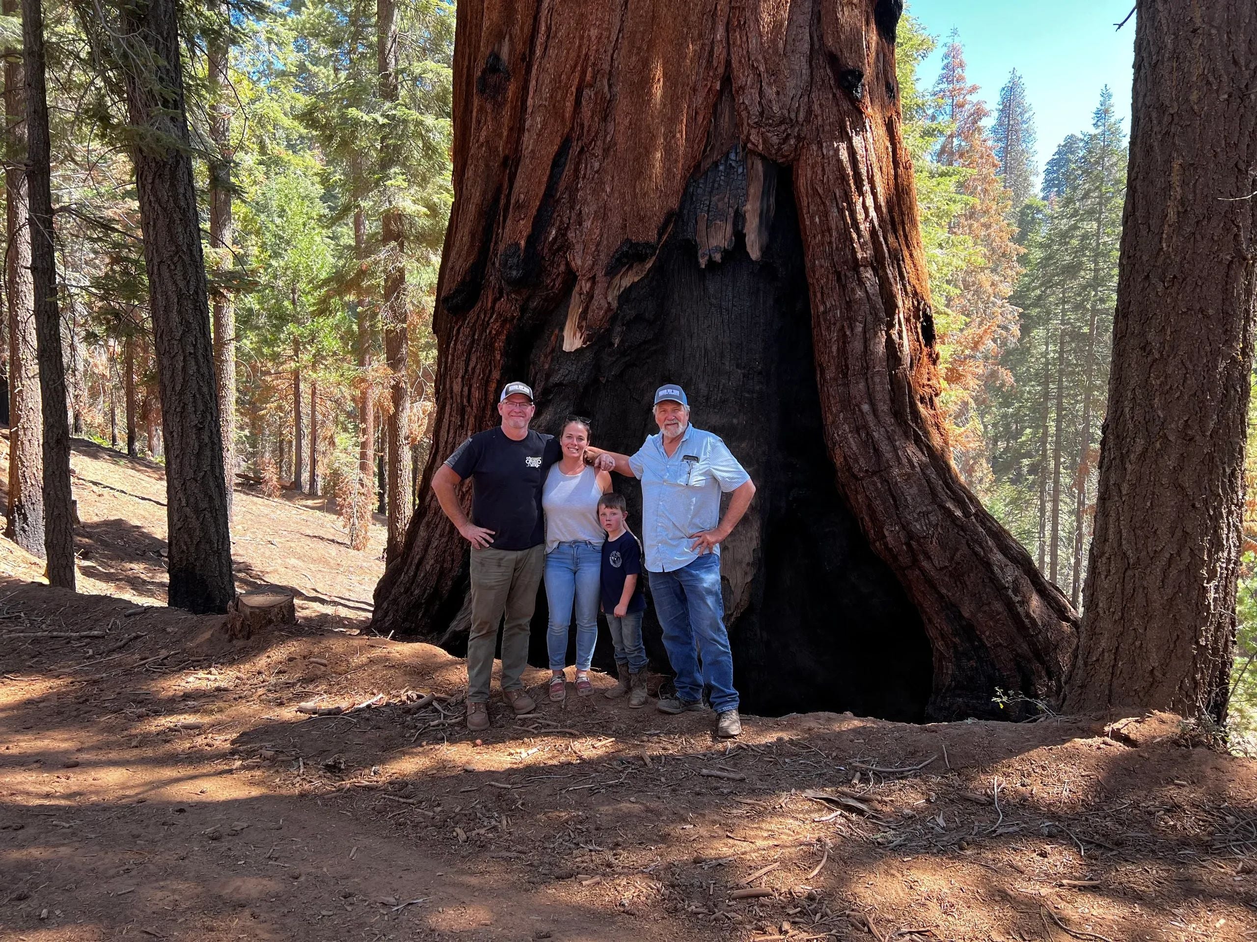 About Old Growth Lumber Co. About Old Growth Lumber Co.