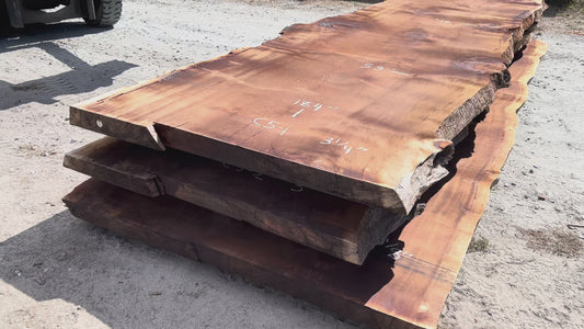 Giant Sequoia Live Edge Slab – 15.33' x 53" x 3.25" – Old Growth, Air-Dried – #C5-1