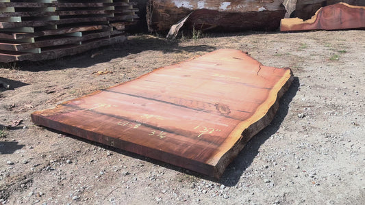 Giant Sequoia Live Edge Slab – 15.25' x 82" x 3.25" – Old Growth, Air-Dried – #C1-8