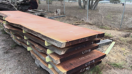 Giant Sequoia Live Edge Slab – 16.5' x 48" x 3.125" – Old Growth, Air-Dried – #C17-5
