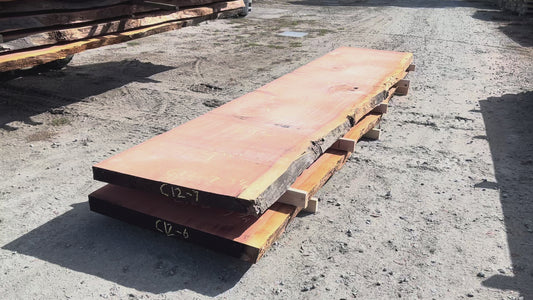 Giant Sequoia Live Edge Slab – 16.75' x 43" x 3.25" – Old Growth, Air-Dried – #C12-7