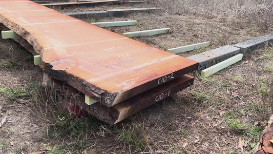 Giant Sequoia Live Edge Slab – 14.33' x 48" x 3" – Old Growth, Air-Dried – #C10-2