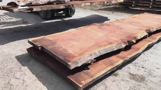 Giant Sequoia Live Edge Slab – 15.75' x 53" x 3" – Old Growth, Air-Dried – #C5-2