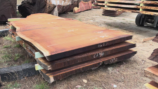 Giant Sequoia Live Edge Slab – 15.42' x 84" x 3.5" – Old Growth, Air-Dried – #C1-9