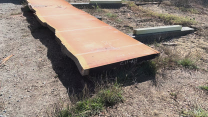 Giant Sequoia Live Edge Slab – 16.5' x 45" x 3.25" – Old Growth, Air-Dried – #C17-8