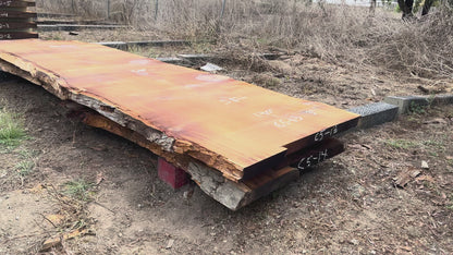 Giant Sequoia Live Edge Slab – 15.83' x 59" x 3" – Old Growth, Air-Dried – #C5-13