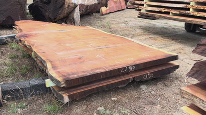 Giant Sequoia Live Edge Slab – 15.42' x 86" x 3.5" – Old Growth, Air-Dried – #C1-10