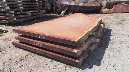 Giant Sequoia Live Edge Slab – 15.33' x 75" x 3.75" – Old Growth, Air-Dried – #C1-6