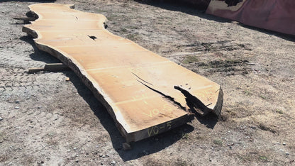 Heritage Valley Oak Live Edge Slab – 20.83' x 60" x 3.25" – Old Growth, Air-Dried – #VO-5