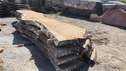 Heritage Valley Oak Live Edge Slab – 20.83' x 49" x 3.25" – Old Growth, Air-Dried – #VO-2
