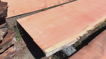 Giant Sequoia Live Edge Slab – 14.5' x 46" x 1.25" – Old Growth, Air-Dried – #C7-14