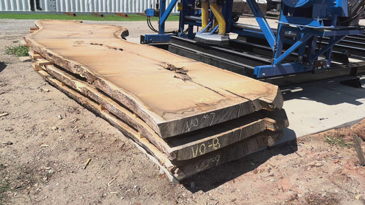 Heritage Valley Oak Live Edge Slab – 19.92' x 63" x 4" – Old Growth, Air-Dried – #VO-7