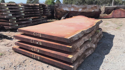 Giant Sequoia Live Edge Slab – 15.08' x 71" x 3.5" – Old Growth, Air-Dried – #C1-5