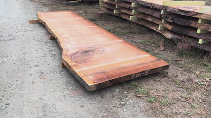 Giant Sequoia Live Edge Slab – 14.33' x 50" x 3" – Old Growth, Air-Dried – #C10-5