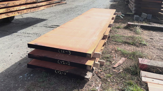 Giant Sequoia Live Edge Slab – 16.75' x 44" x 3" – Old Growth, Air-Dried – #C12-3