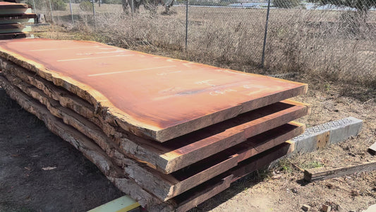 Giant Sequoia Live Edge Slab – 16.17' x 61" x 3" – Old Growth, Air-Dried – #C5-4