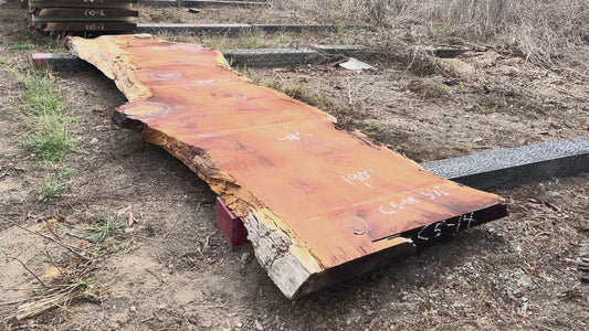 Giant Sequoia Live Edge Slab – 15.83' x 48" x 3.5" – Old Growth, Air-Dried – #C5-14
