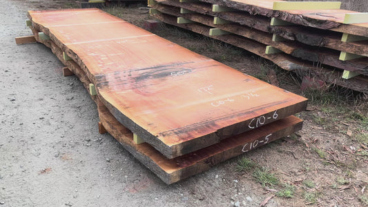 Giant Sequoia Live Edge Slab – 14.33' x 50" x 3.5" – Old Growth, Air-Dried – #C10-6