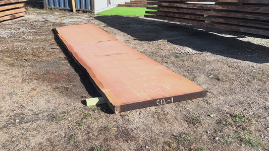 Giant Sequoia Live Edge Slab – 16.75' x 45" x 2.5" – Old Growth, Air-Dried – #C12-1