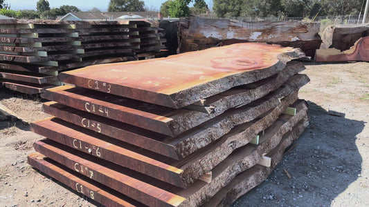 Giant Sequoia Live Edge Slab – 11.67' x 62" x 3.5" – Old Growth, Air-Dried – #C1-3