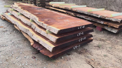 Giant Sequoia Live Edge Slab – 14.92' x 50" x 3.25" – Old Growth, Air-Dried – #C5-8