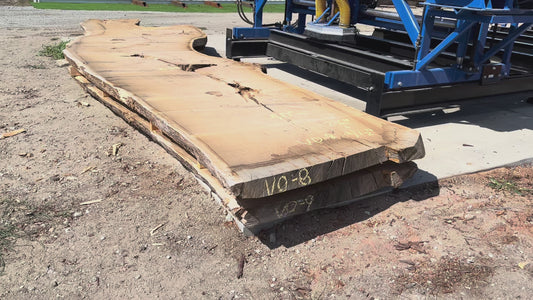 Heritage Valley Oak Live Edge Slab – 19.67' x 63" x 3.5" – Old Growth, Air-Dried – #VO-8