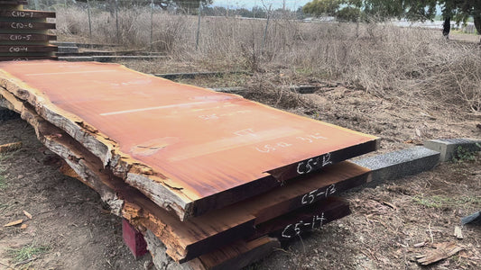 Giant Sequoia Live Edge Slab – 14.75' x 59" x 3.256" – Old Growth, Air-Dried – #C5-12