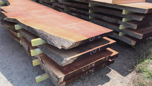 Giant Sequoia Live Edge Slab – 16.5' x 50" x 2.75" – Old Growth, Air-Dried – #C17-2