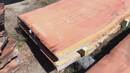 Giant Sequoia Live Edge Slab – 14.5' x 45" x 1.25" – Old Growth, Air-Dried – #C7-13