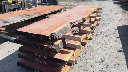 Giant Sequoia Live Edge Slab – 16.75' x 41" x 3.25" – Old Growth, Air-Dried – #C12-10