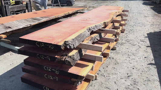 Giant Sequoia Live Edge Slab – 16.75' x 41" x 3.25" – Old Growth, Air-Dried – #C12-10