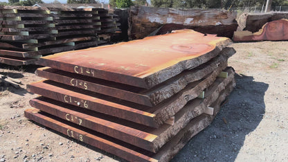 Giant Sequoia Live Edge Slab – 14.92' x 65" x 3.5" – Old Growth, Air-Dried – #C1-4