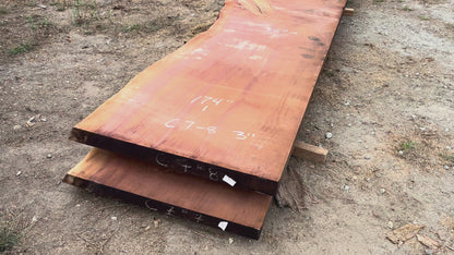 Giant Sequoia Live Edge Slab – 14.5' x 46" x 3" – Old Growth, Air-Dried – #C7-8