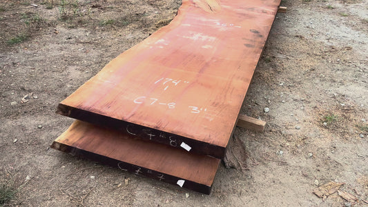 Giant Sequoia Live Edge Slab – 14.5' x 46" x 3" – Old Growth, Air-Dried – #C7-8