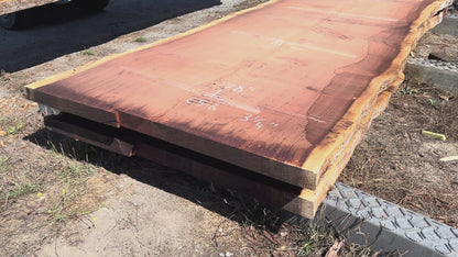 Giant Sequoia Live Edge Slab – 16' x 61" x 3.25" – Old Growth, Air-Dried – #C5-6