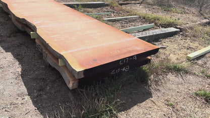 Giant Sequoia Live Edge Slab – 16.5' x 46" x 3.25" – Old Growth, Air-Dried – #C17-9