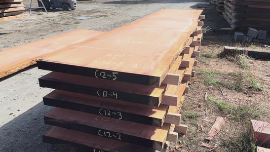 Giant Sequoia Live Edge Slab – 16.75' x 44.5" x 3" – Old Growth, Air-Dried – #C12-5