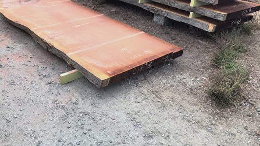 Giant Sequoia Live Edge Slab – 16.5' x 47" x 3" – Old Growth, Air-Dried – #C17-6