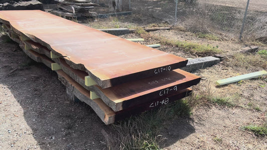 Giant Sequoia Live Edge Slab – 16.5' x 45" x 3.25" – Old Growth, Air-Dried – #C17-10