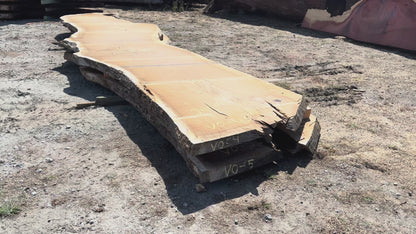 Heritage Valley Oak Live Edge Slab – 20.42' x 57" x 3" – Old Growth, Air-Dried – #VO-4