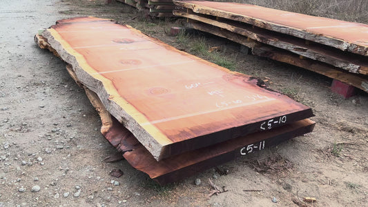 Giant Sequoia Live Edge Slab – 16' x 60" x 3.25" – Old Growth, Air-Dried – #C5-10