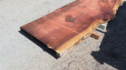 Giant Sequoia Live Edge Slab – 14.5' x 45" x 3" – Old Growth, Air-Dried – #C7-9