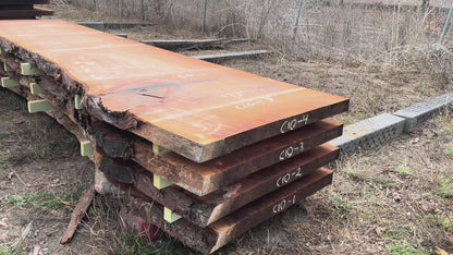 Giant Sequoia Live Edge Slab – 14.33' x 50" x 3" – Old Growth, Air-Dried – #C10-4