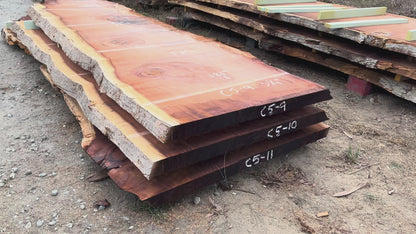 Giant Sequoia Live Edge Slab – 15.08' x 53" x 3.25" – Old Growth, Air-Dried – #C5-9