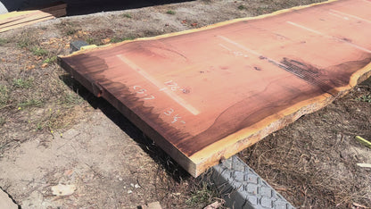 Giant Sequoia Live Edge Slab – 15.83' x 61" x 3.25" – Old Growth, Air-Dried – #C5-7