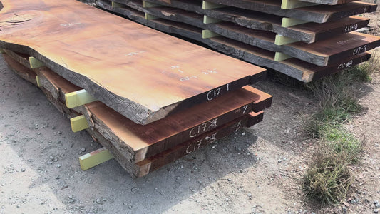 Giant Sequoia Live Edge Slab – 16.5' x 52" x 2.75" – Old Growth, Air-Dried – #C17-1