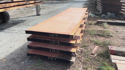 Giant Sequoia Live Edge Slab – 16.75' x 44" x 3" – Old Growth, Air-Dried – #C12-4