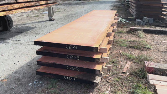Giant Sequoia Live Edge Slab – 16.75' x 44" x 3" – Old Growth, Air-Dried – #C12-4