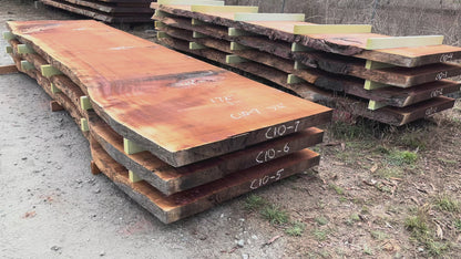 Giant Sequoia Live Edge Slab – 14.33' x 49" x 3.25" – Old Growth, Air-Dried – #C10-7