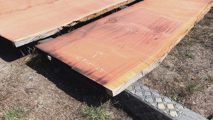 Giant Sequoia Live Edge Slab – 14.5' x 45" x 2.5" – Old Growth, Air-Dried – #C7-12
